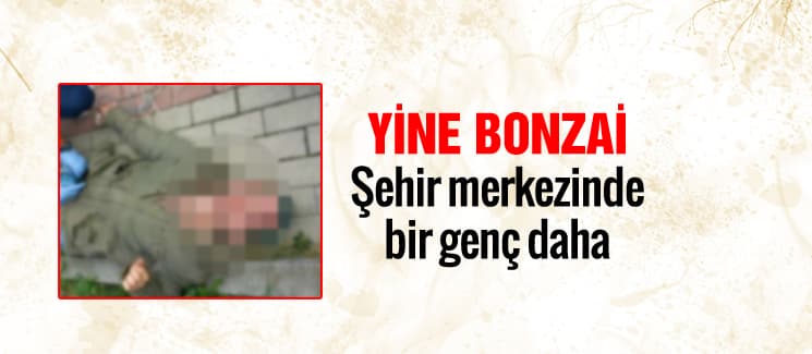 Bonzai kullandı, hastanelik oldu