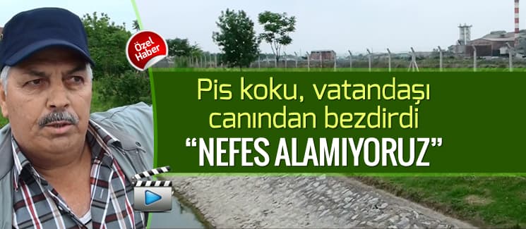 Deredeki pis koku, vatandaşı canından bezdirdi