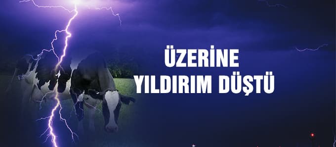 Üzerine yıldırım düştü
