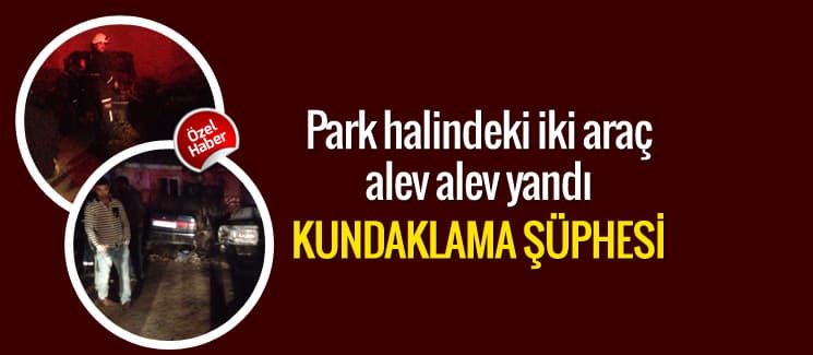 Park halindeki iki otomobil alev alev yandı