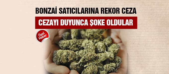 Bonzai satıcılarına rekor ceza