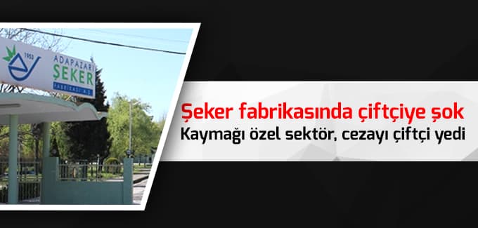 Kaymağı özel sektör, cezayı çiftçi yedi
