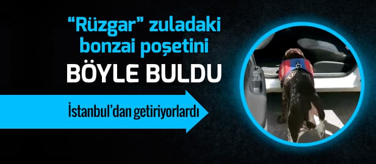 "Rüzgar" zuladaki bonzai poşetini böyle buldu