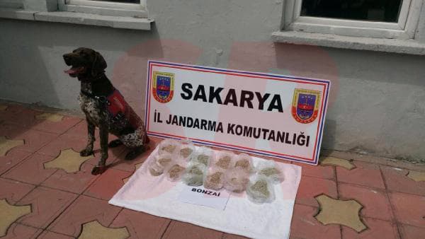 "Rüzgar" zuladaki bonzai poşetini böyle buldu