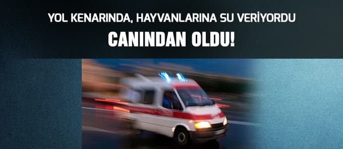 Hayvanlarına su veriyordu traktörün çarpması sonucu öldü