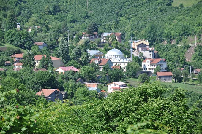 Mahalleye İnen Ayı Korkuttu