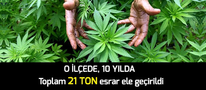 10 yılda 21 Ton Esrar