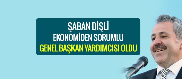 Şaban Dişli, Ekonomiden Sorumlu Genel Başkan Yardımcısı oldu
