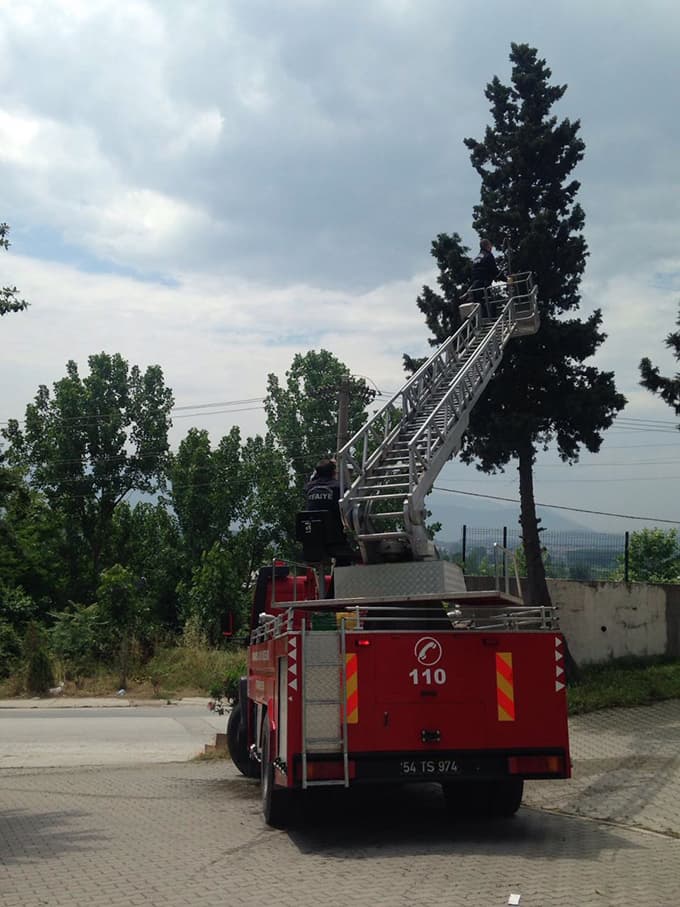 Mahsur kalan yavru kediye itfaiye yetişti