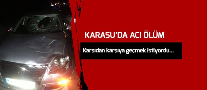 Karasu'da otomobilin çarptığı kişi öldü