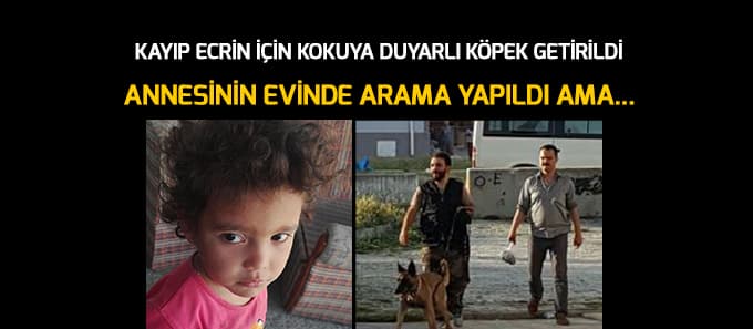 Kayıp Ecrin için kokuya duyarlı köpek getirildi