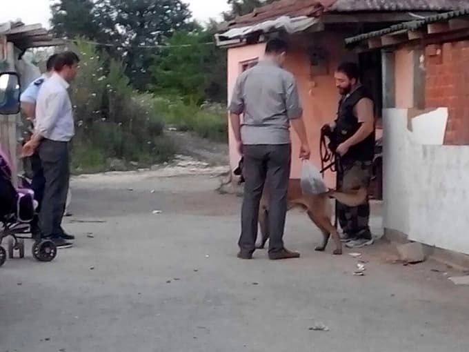 Kayıp Ecrin için kokuya duyarlı köpek getirildi