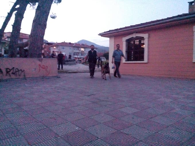 Kayıp Ecrin için kokuya duyarlı köpek getirildi