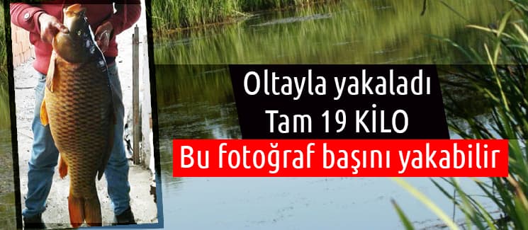 Bu fotoğraf başını yakabilir