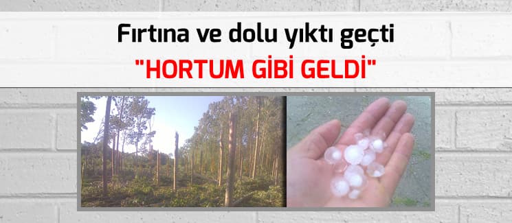 Fırtına ve dolu yıktı geçti