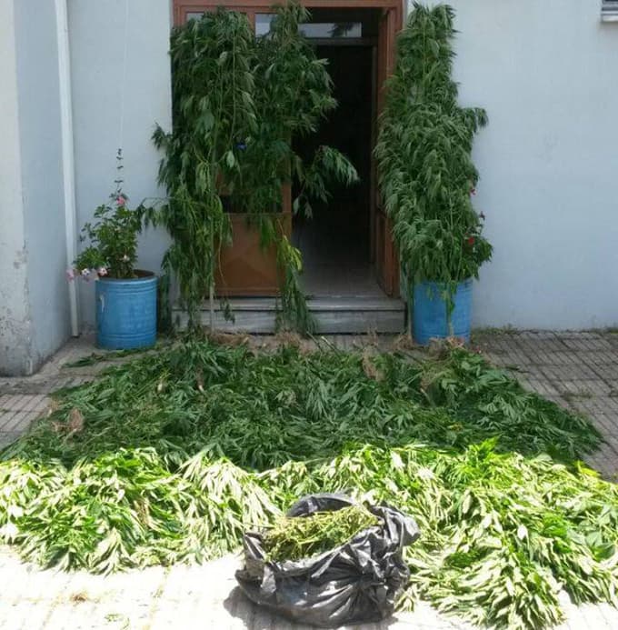 Jandarma Uyuşturucunun kökünü kurutmaya kararlı