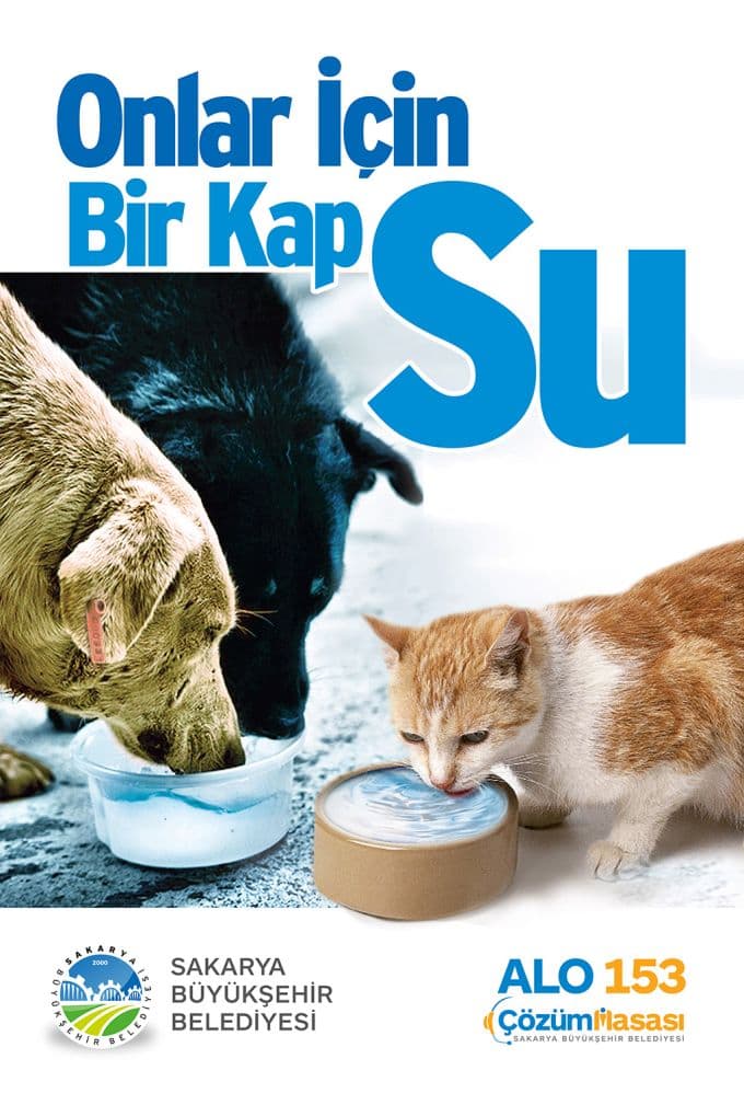 Onlar için bir kap su