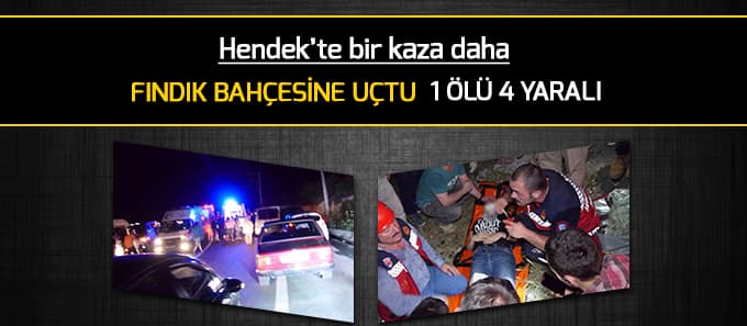 Hendek'te bir kaza daha