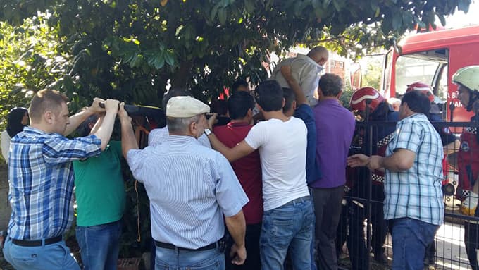 Meyve toplarken ağaçtan düştü