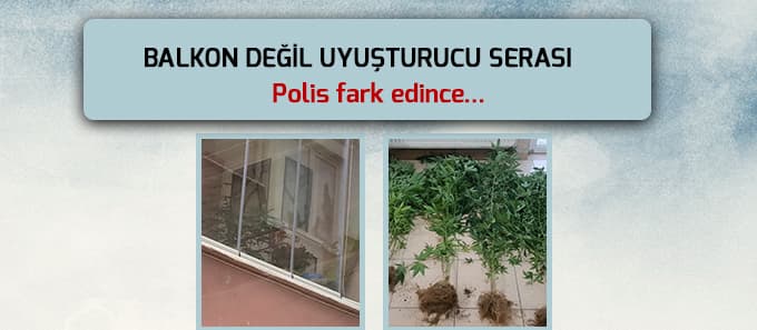 Balkon değil uyuşturucu serası