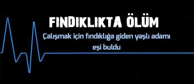 Fındıklıkta ölü olarak bulundu