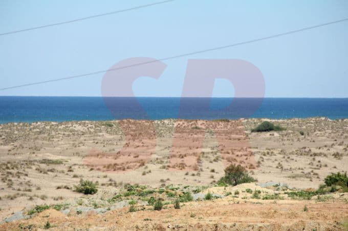 Her yer tıka basa dolu, orada kuş uçmuyor