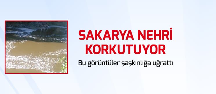 Sakarya Nehri korkutuyor