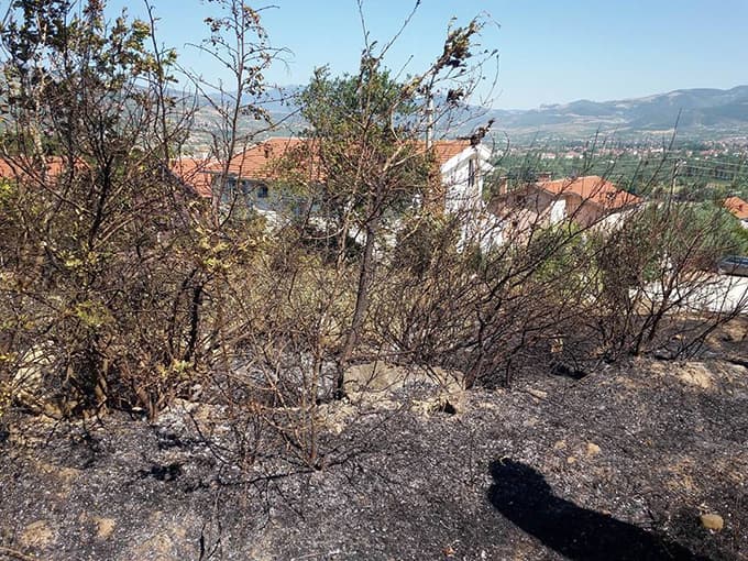 Ekin tarlasında yangın