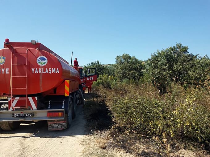 Ekin tarlasında yangın