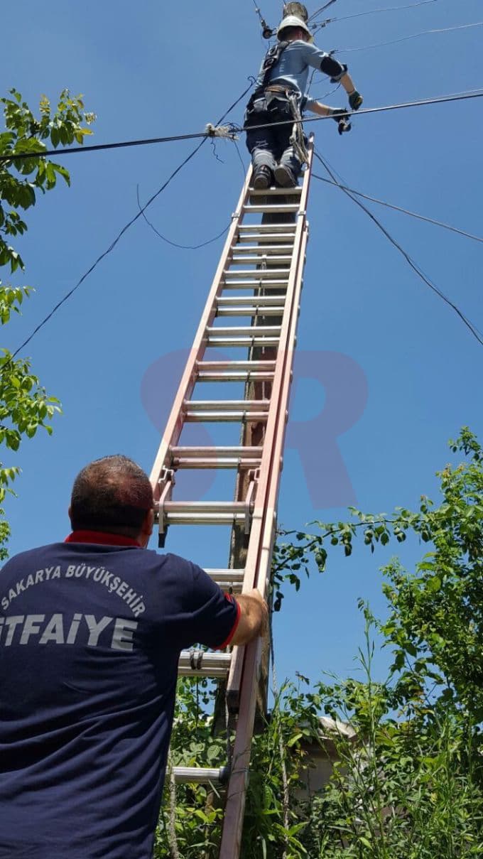 Elektrik tellerinde mahsur kaldı