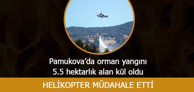 Pamukova'da 5.5 hektarlık alan yandı