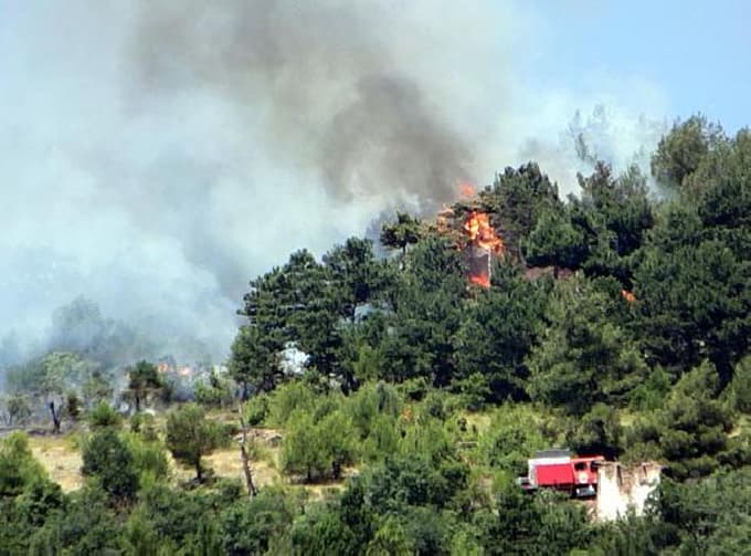 Pamukova'da 5.5 hektarlık alan yandı
