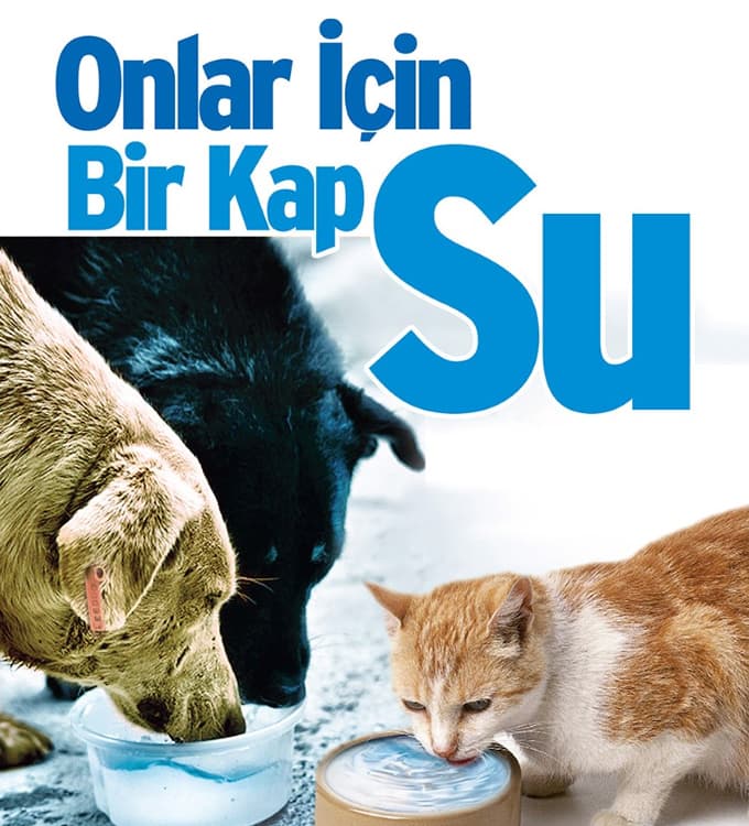 Bir kap su hayati öneme sahip 