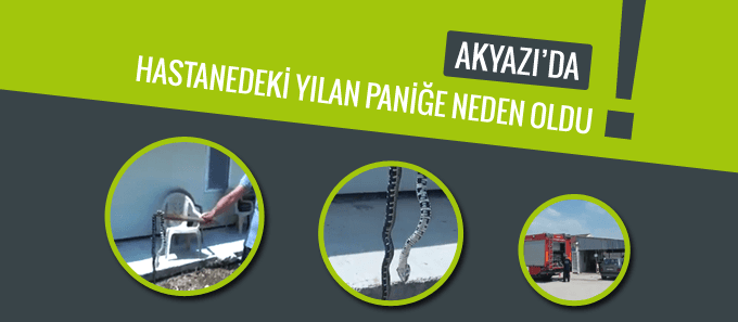 Akyazı'da hastanede yılan paniği yaşandı