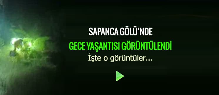 Sapanca Gölü'nde gece yaşantısı görüntülendi