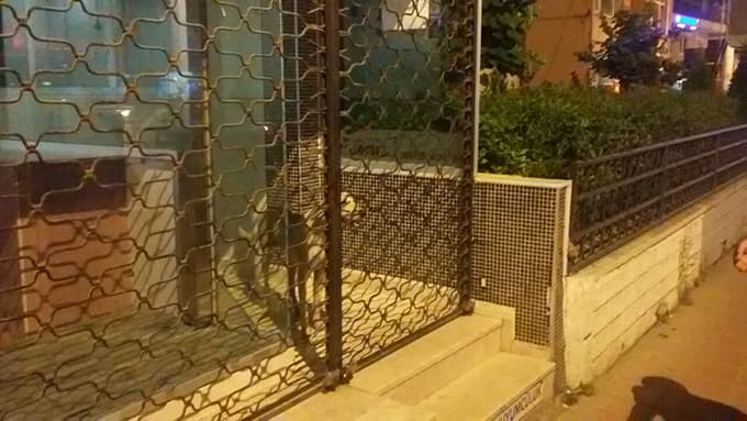 Mahsur kalan köpek için seferber oldular