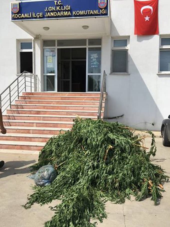 Kocaali'de uyuşturucu operasyonu