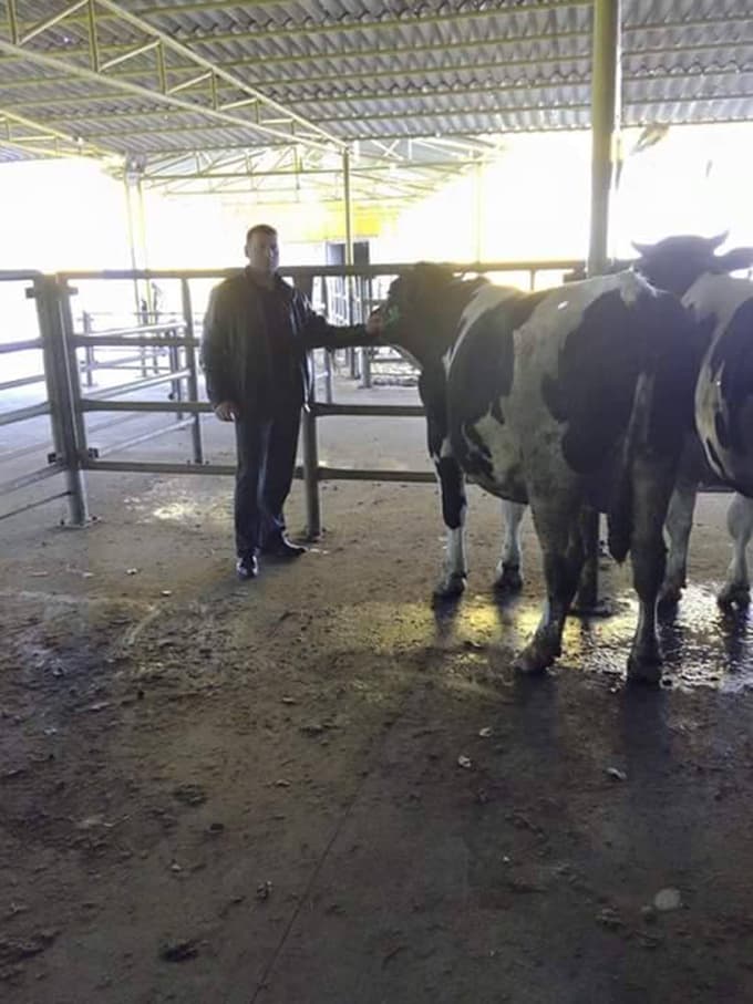 "Kurbanlık hayvan fiyatlarında artış var"
