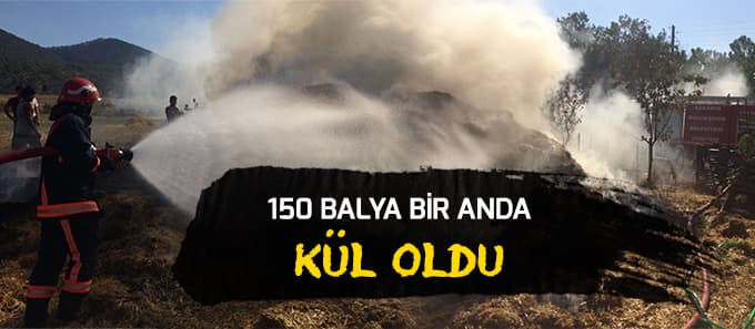 Balyalar bir anda alev aldı