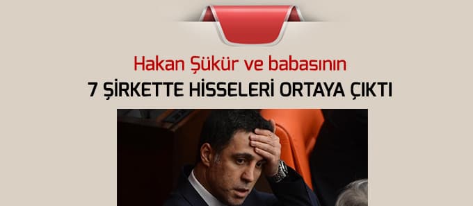 Hakan Şükür ve babasının 7 şirkette hisseleri ortaya çıktı