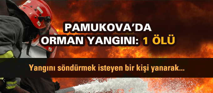 Pamukova'da orman yangını: 1 ölü