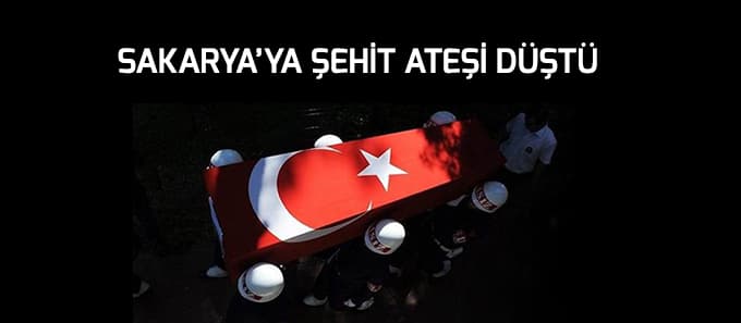 Sakarya'ya şehit ateşi düştü