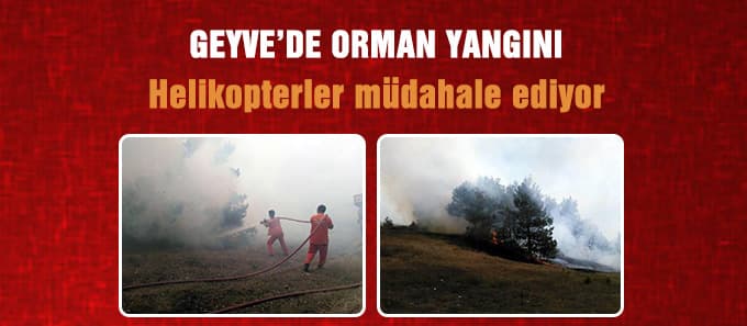 Geyve'de orman yangını