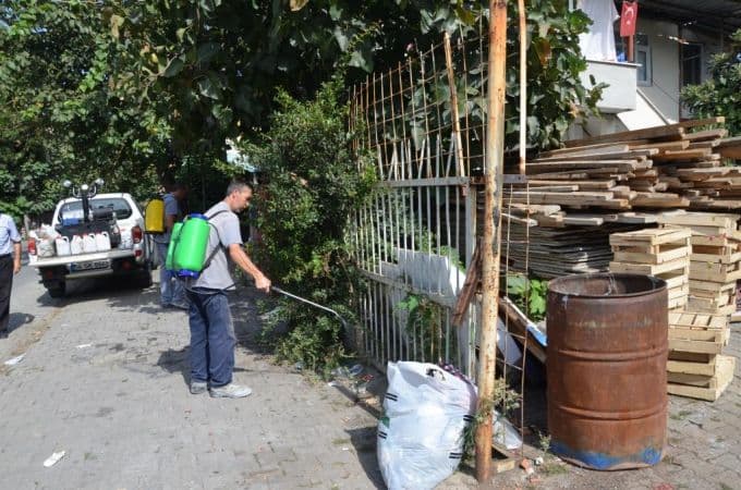 Belediyeden akreplere karşı önlem