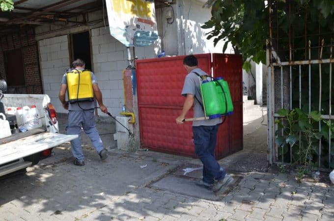 Belediyeden akreplere karşı önlem