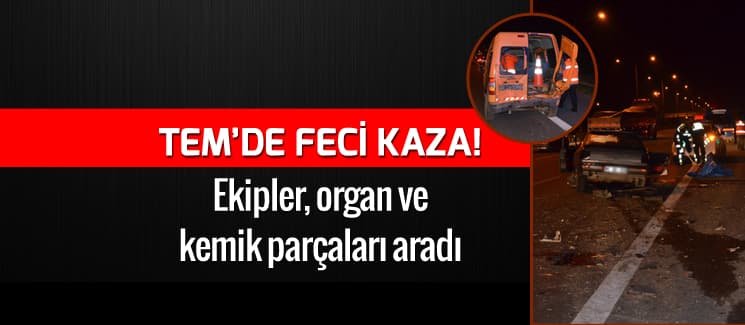 TEM Otoyolu'nda feci kaza