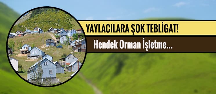Yaylacılara büyük şok!