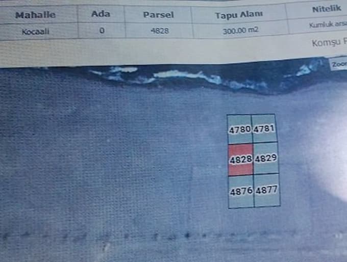 Emekli bankacı: 'Devlet verdiği tapuya sahip çıksın'