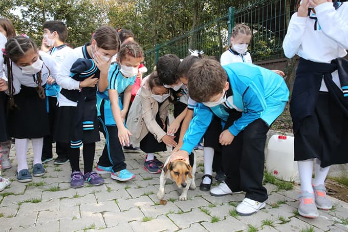 Orman Su İşleri, barınağa kedi evi hediye etti
