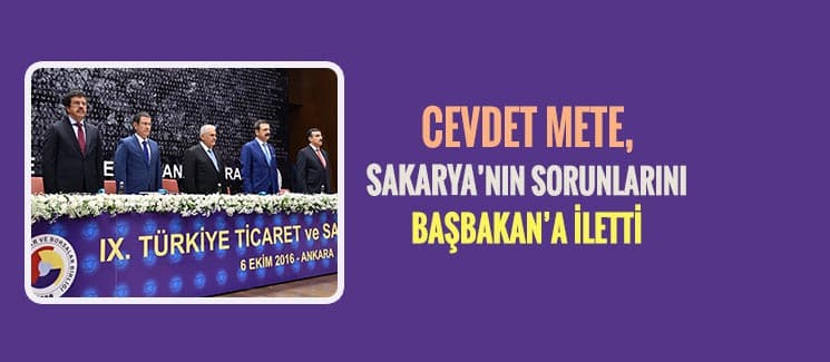 Mete, Sakarya'nın sorunlarını Başbakan'a iletti